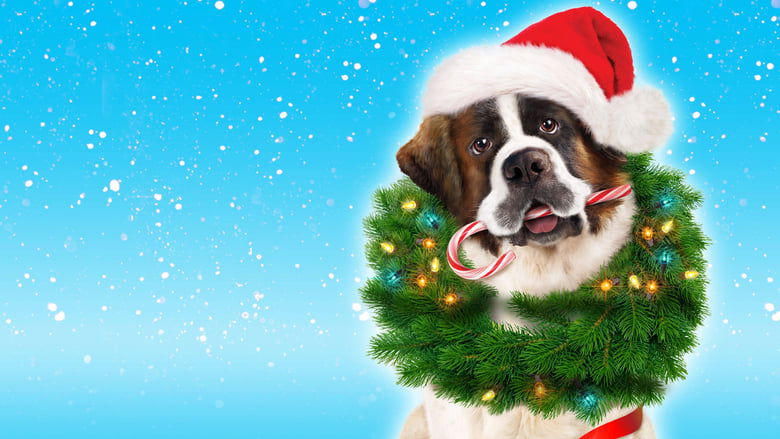 無敵當家之聖誕奪寶電影劇照1