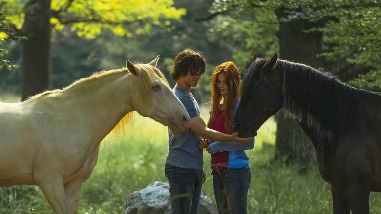 Ostwind 2電影劇照1