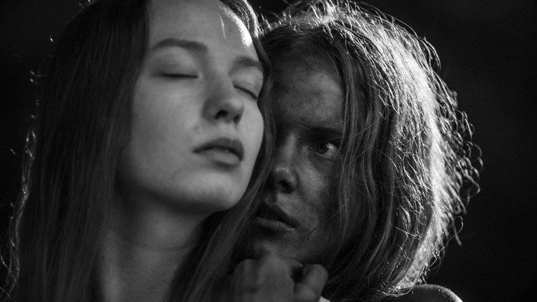 Noiembrie電影劇照1