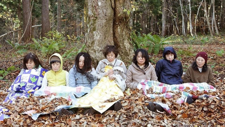 滝を見にいく電影劇照1