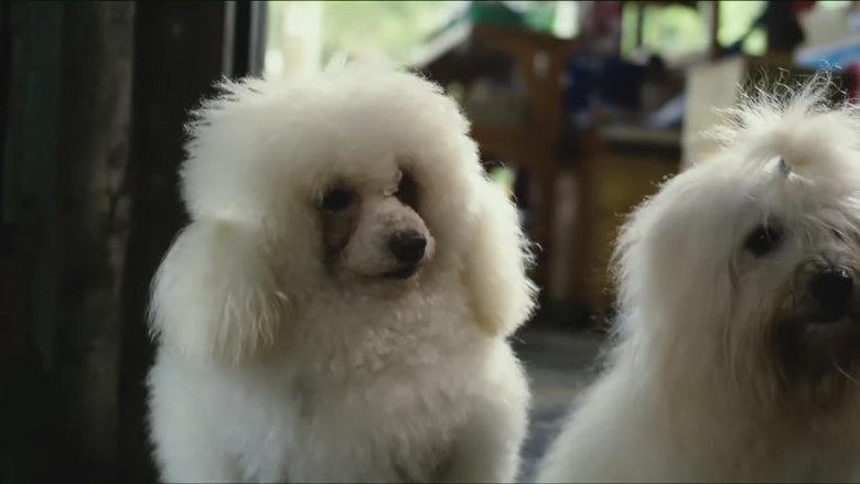 มะหมา 4 ขาครับ ภาค 2電影劇照1