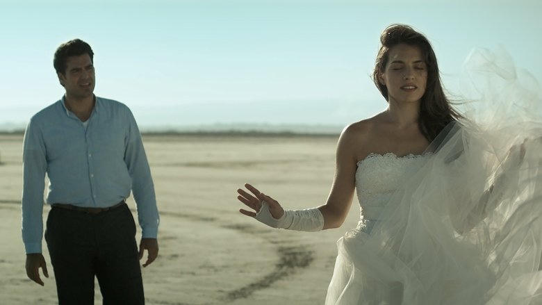 Committed電影劇照1