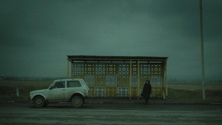 盲婚綁嫁電影劇照1