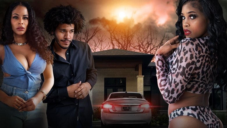 Homewrecker電影劇照1