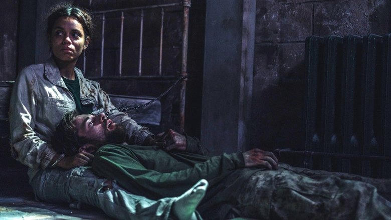 Wildcat電影劇照1