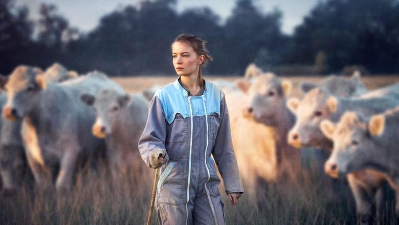 雄獸之地（HKIFF45)電影劇照1