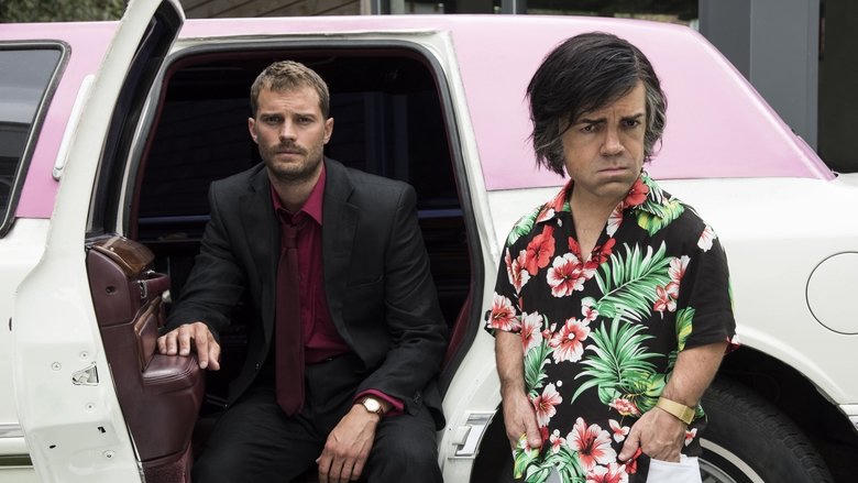 My Dinner with Hervé電影劇照1