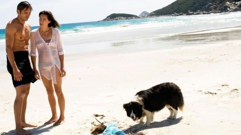 Long Weekend電影劇照1