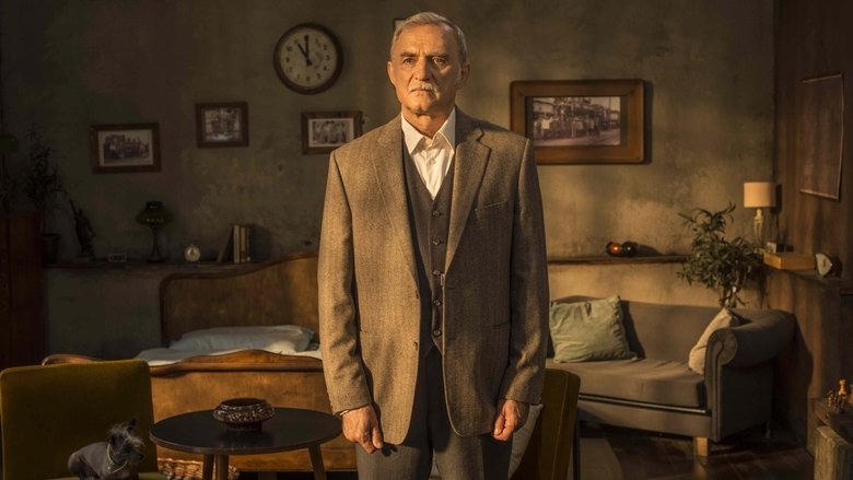 Dnevnik mašinovođe電影劇照1