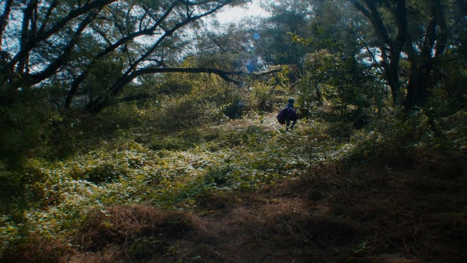 科技大地（敵）︰里亞利沙迪短片三部曲 (M+ Cinema Programmes)電影劇照1