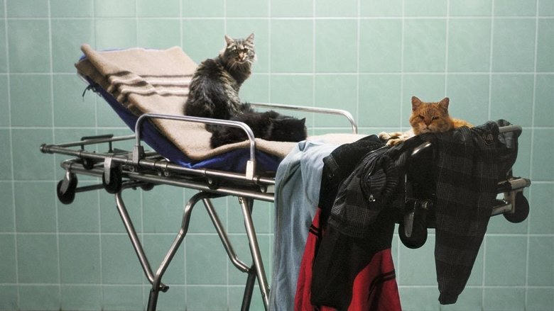 無醫可靠電影劇照1