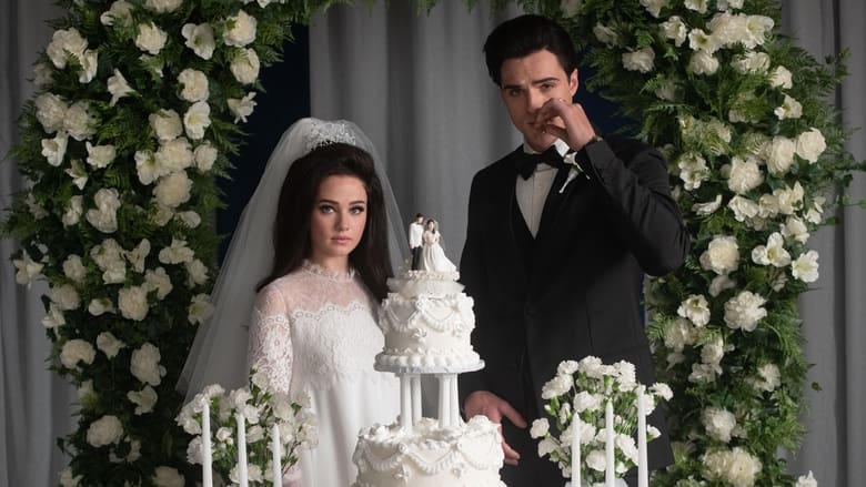 貓王與我 (HKIFF48)電影劇照1