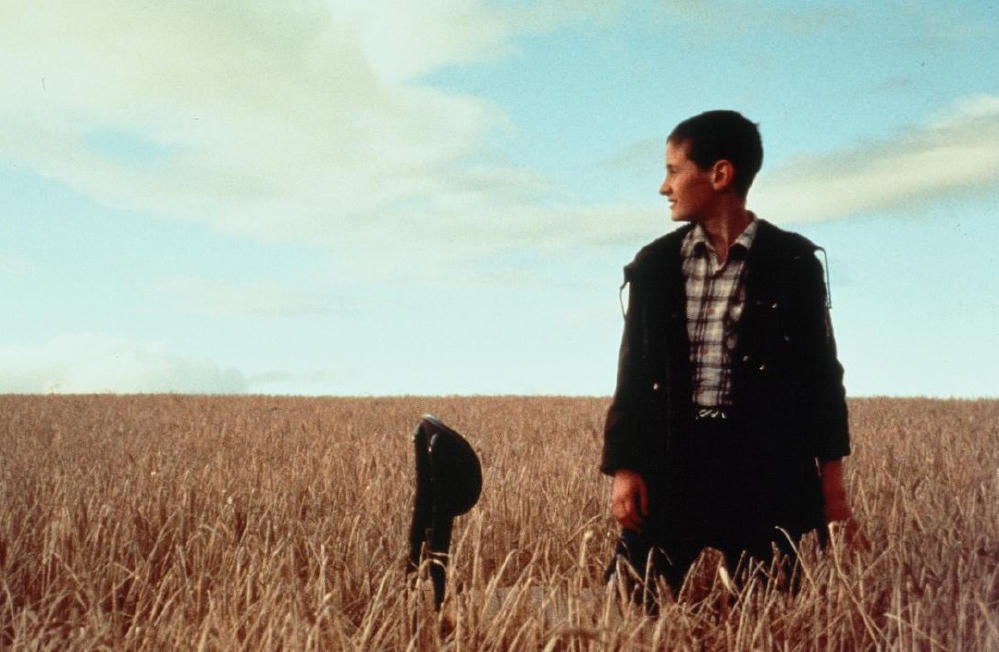 捕鼠少年 (M+ Cinema Programmes)電影劇照1