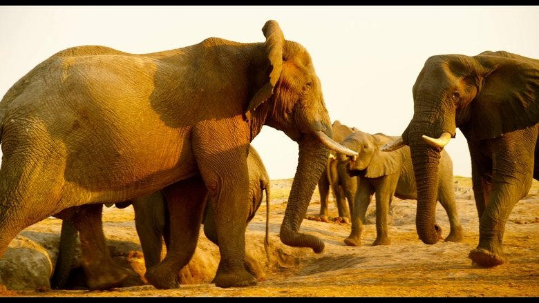 BBC - 魔法王國 3D電影劇照1