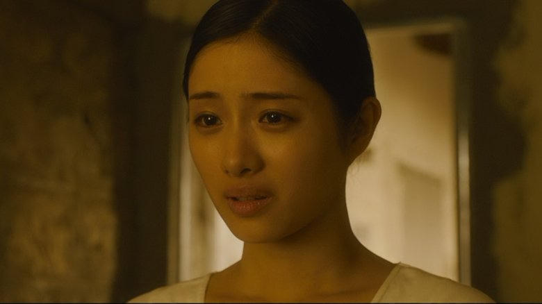 風に立つライオン電影劇照1