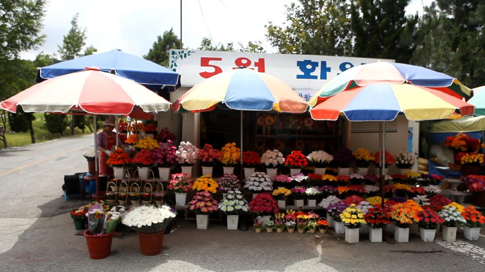 可會想起我(HKAFF 2020)電影劇照1