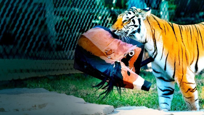 大貓爭霸戰電影劇照1