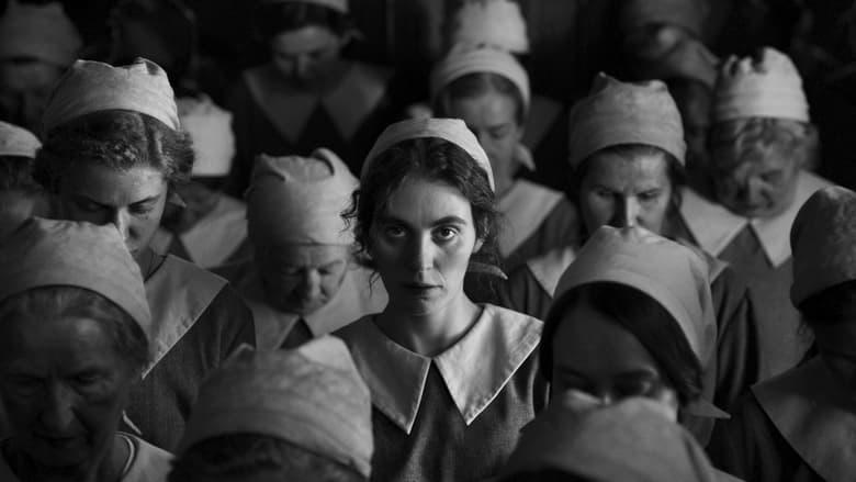 Pigen med nålen電影劇照1