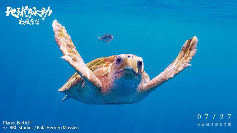 Planet Earth: Hostile Paradise or Perfect Hell?電影劇照1