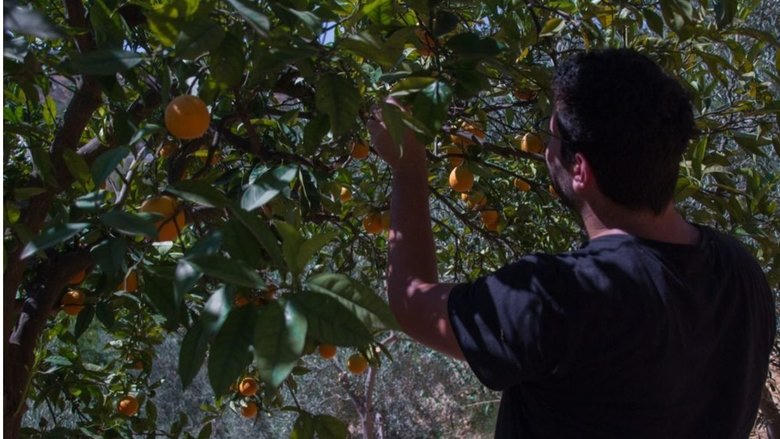 Al óleo電影劇照1