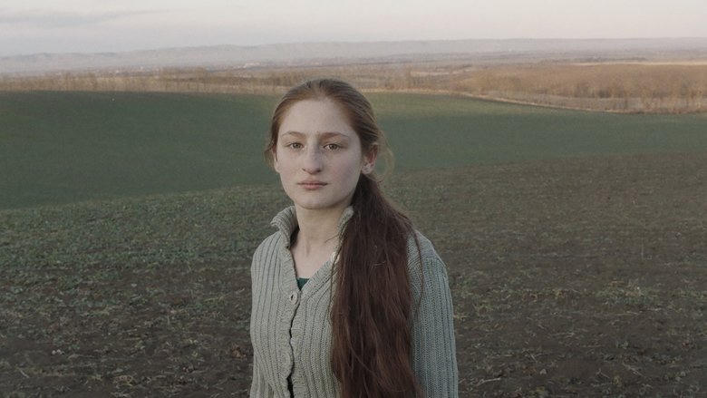 哪一天她們會飛電影劇照1