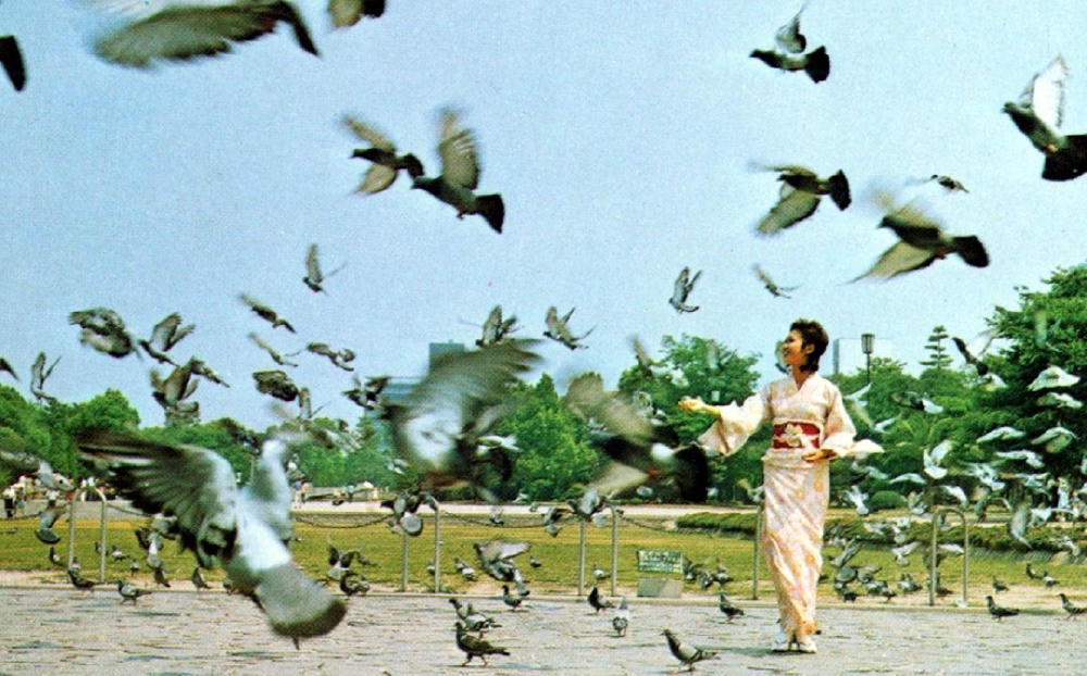 廣島廿八電影劇照1