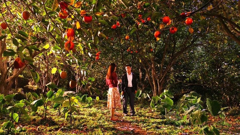 만남의 광장電影劇照1