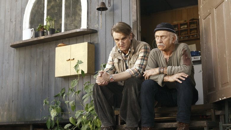 Ostwind電影劇照1