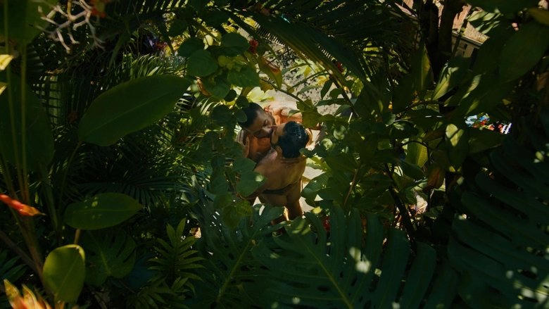 O Cavalo de Pedro電影劇照1