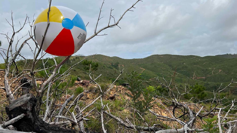 萬象的訊號 (M+ Programme)電影劇照1