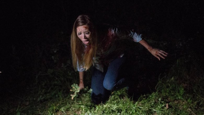 Found Footage 3D電影劇照1