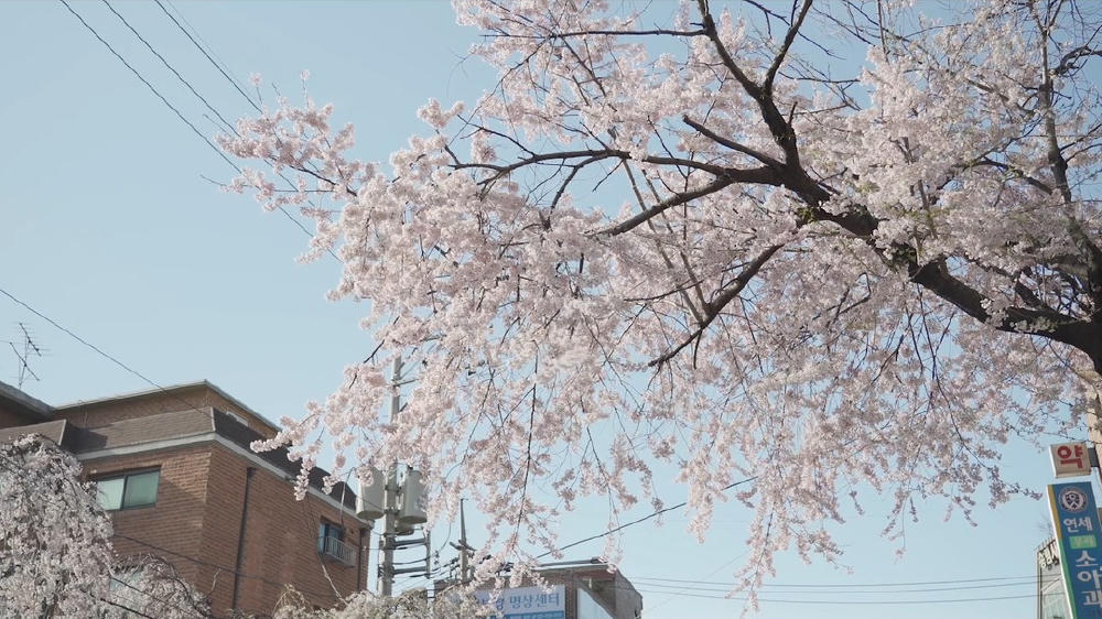 你們的四月(HKAFF 2020)電影劇照1