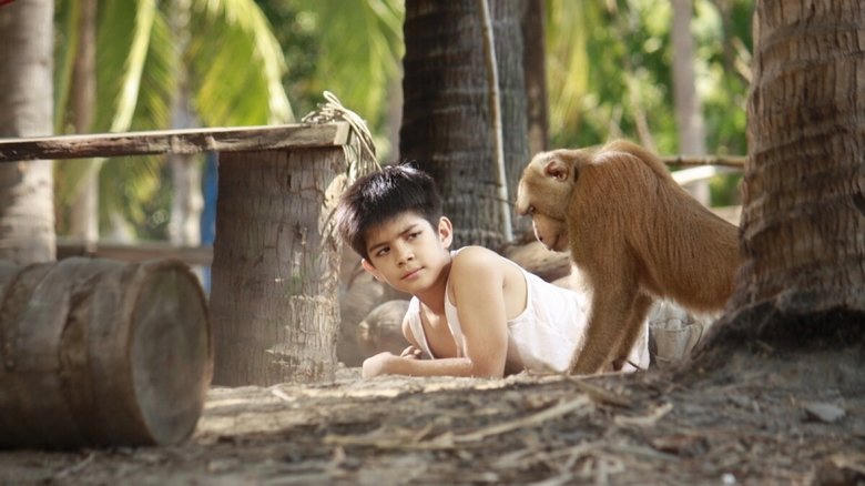 กะปิ ลิงจ๋อไม่หลอกจ้าว電影劇照1