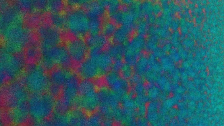 Revolving Rounds電影劇照1