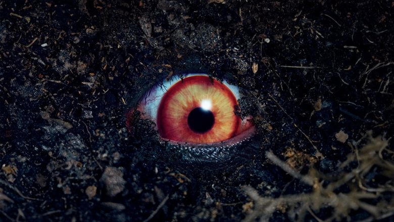 禁じられた遊び電影劇照1