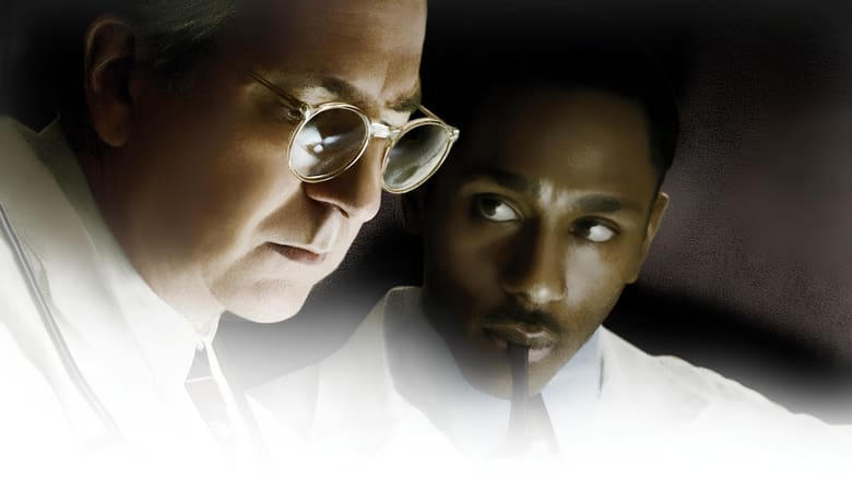 天賜良醫電影劇照1