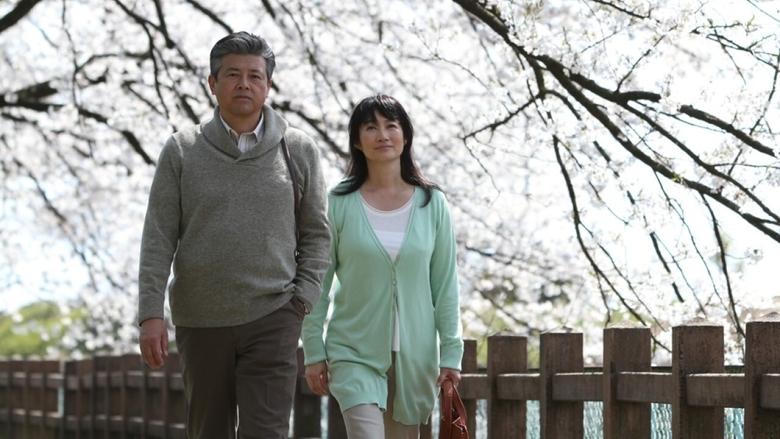 RAILWAYS 愛を伝えられない大人たちへ電影劇照1