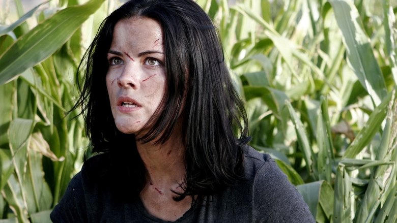 Hallowed Ground電影劇照1