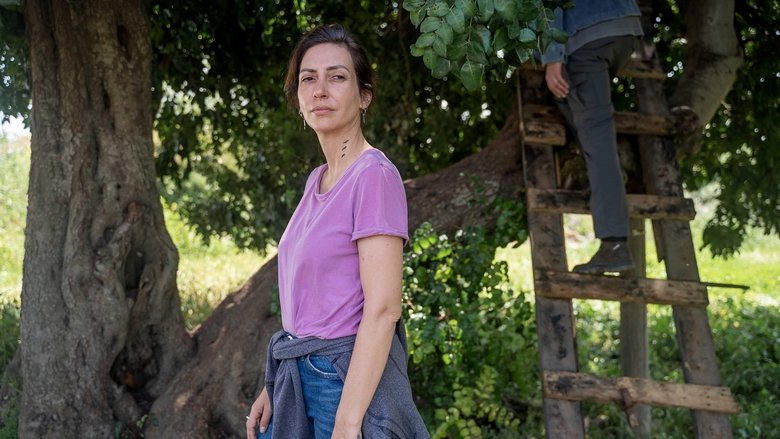 The Future (HKJFF2023)電影劇照1