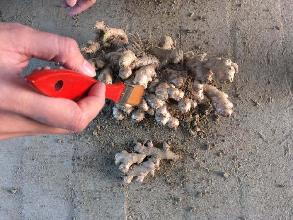 海中獸與飛天潛水艇 (M+ Cinema Programmes)電影劇照1