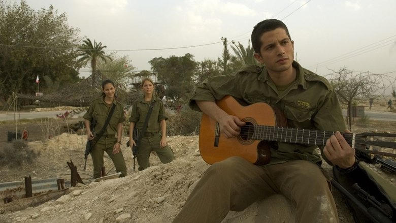 חסר מנוחה電影劇照1