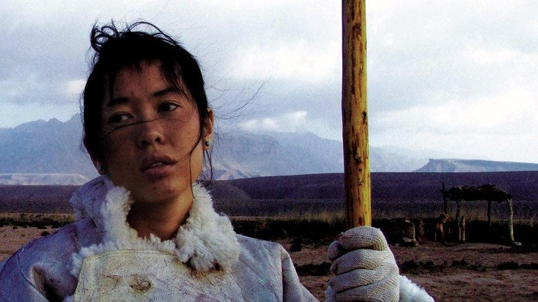 圖雅的婚事電影劇照1