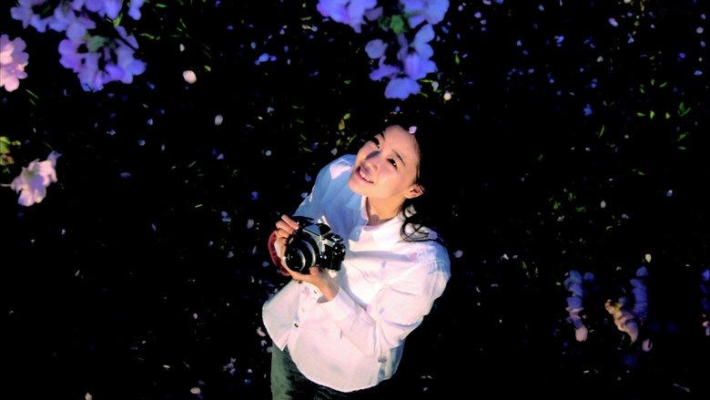 ニライカナイからの手紙電影劇照1