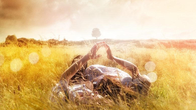 The History of Love電影劇照1