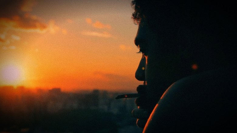 A Bruta Flor do Querer電影劇照1