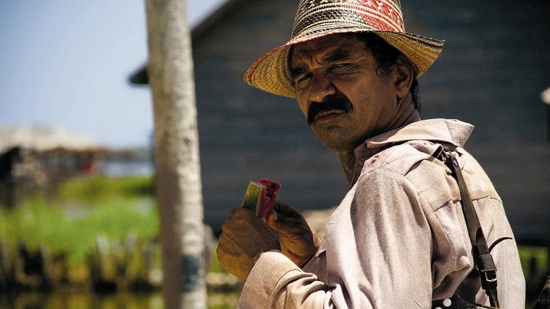 Los viajes del viento電影劇照1