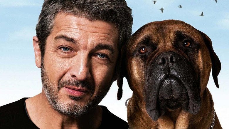 人狗情未了電影劇照1