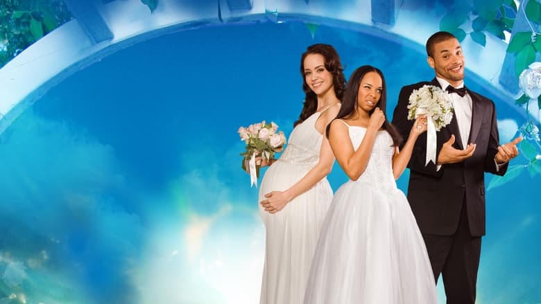 I Do... I Did!電影劇照1