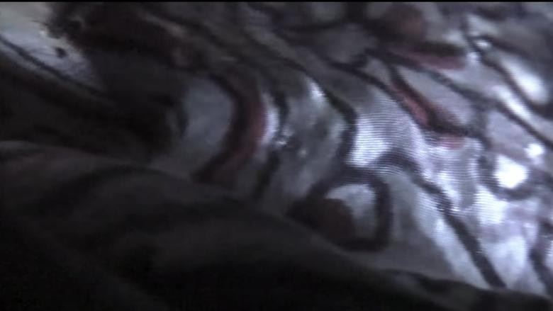 Venice 70: Future Reloaded電影劇照1