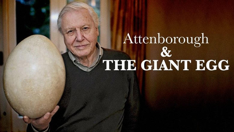 Attenborough and the Giant Egg電影劇照1